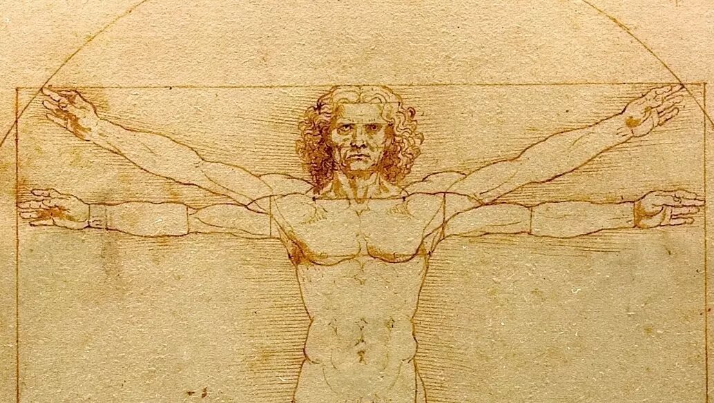     Автор: Da Vinci Vitruve / Luc Viatour Источник: Public Domain