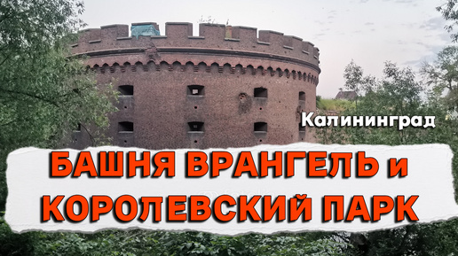 Гуляем по Королевскому парку Калининграда. Дошли др старинной башни Врангель, внутрь зайти не удалось