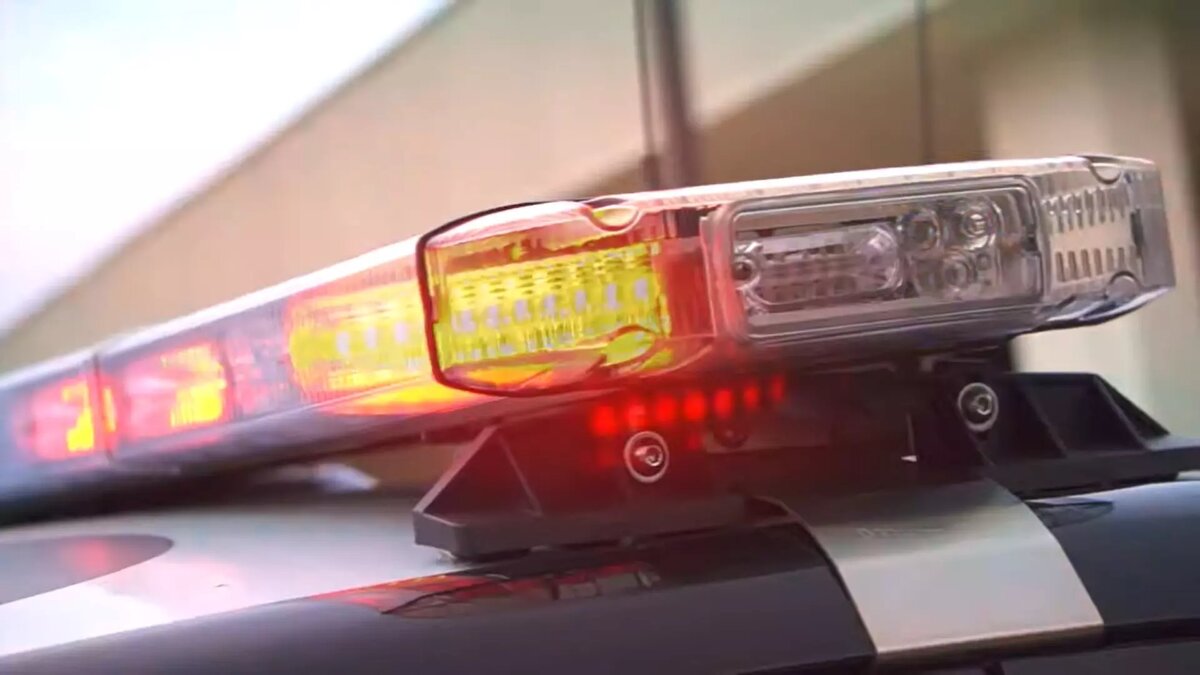     Источник: Стоп-кадр видео