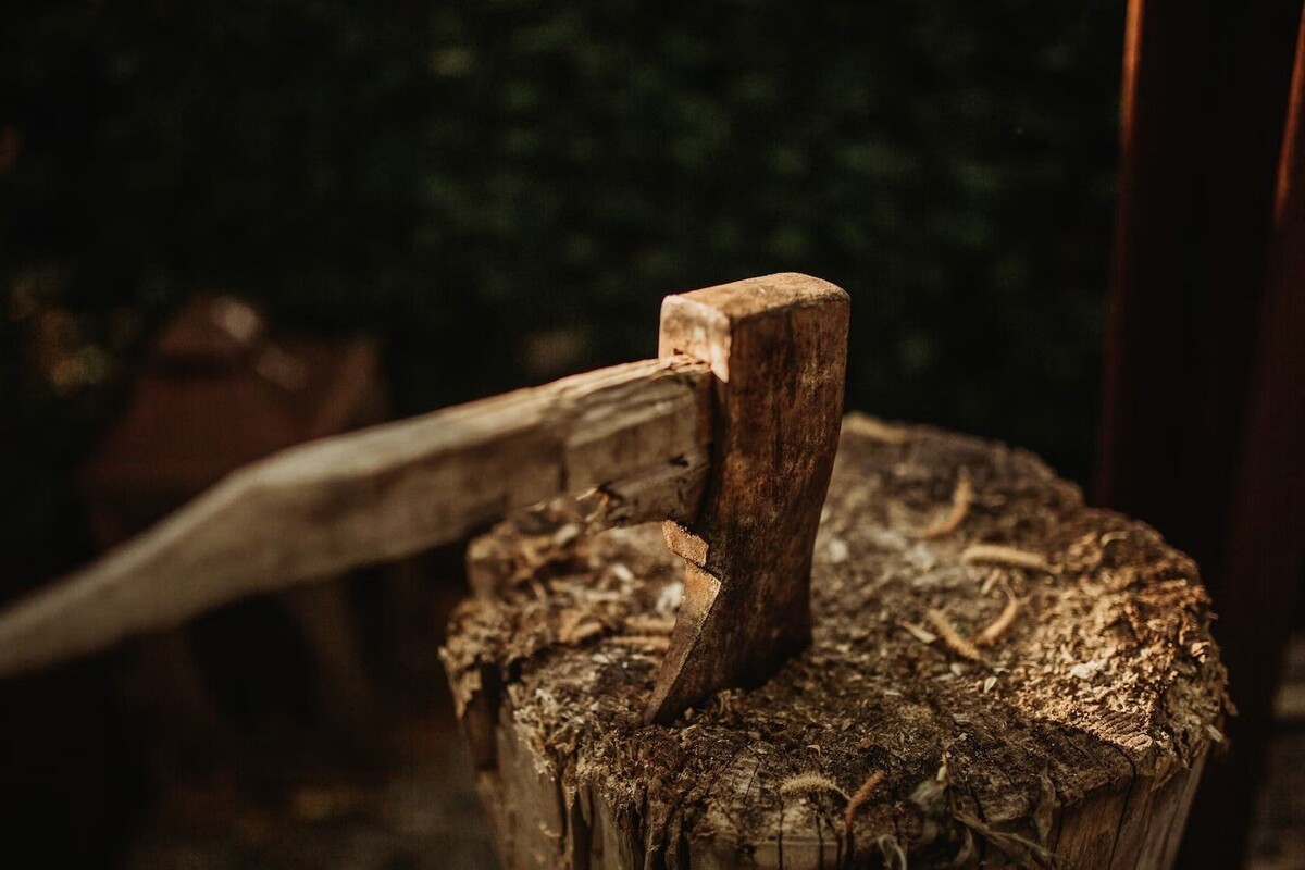    Фото: Kevin Schmid / Unsplash.com