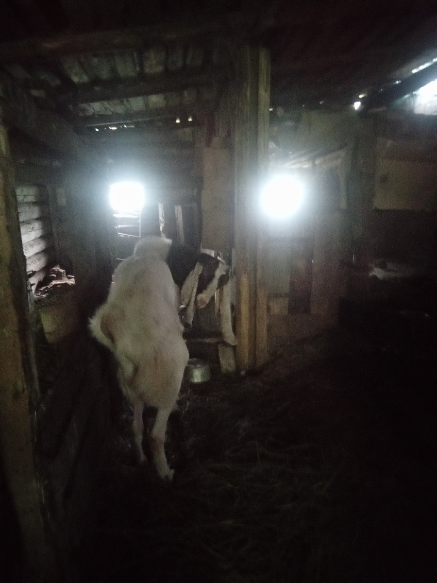 Фото автора. 