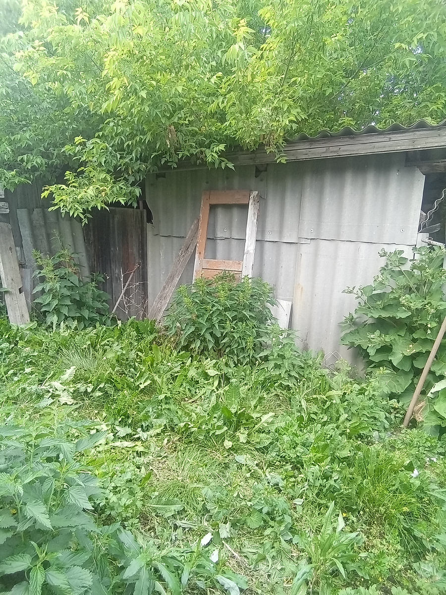 Фото автора. 