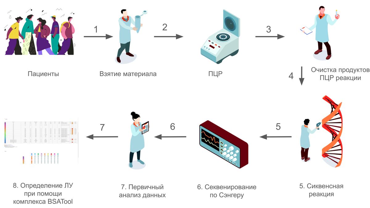 Молекулярная эпидемиология раскрывает тайны туберкулеза | Российский  микробиологический портал | Дзен