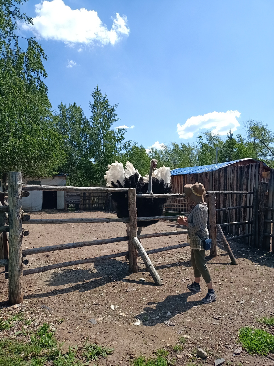 Хозяйка фермы с Пашей (они там все Паши 😁). Фото автора. 2024