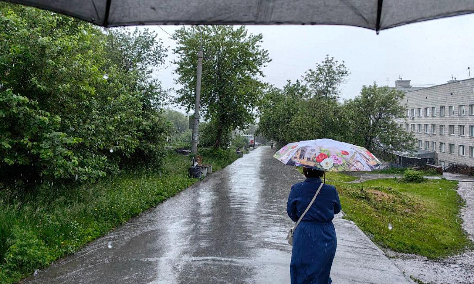 Фото: Альфат Файзулин / Горсайт