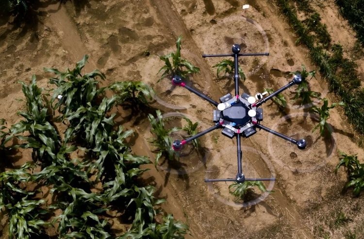    Агродроны в компании с ИИ сфокусируются на смешанных культурах и биологизации