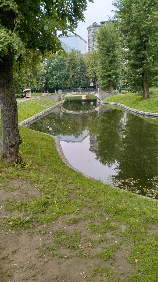 Немного природы в центре большого города