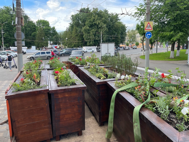    В Кирове на Карла Маркса расставляют контейнеры с многолетними цветами