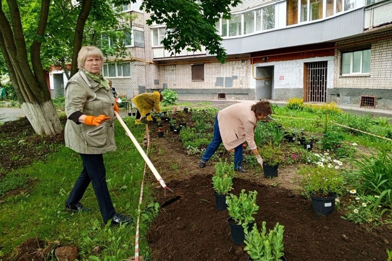    Жильцы высадили хосты, флоксы, эхинацею, тимьян, спирею, можжевельник и другие растения. Помогали студенты строительного колледжа, работники УК и управы № 21.