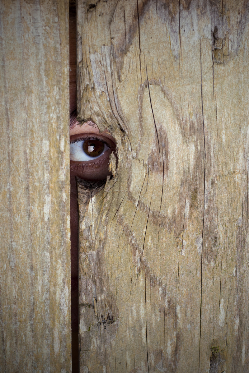 фото из интернета