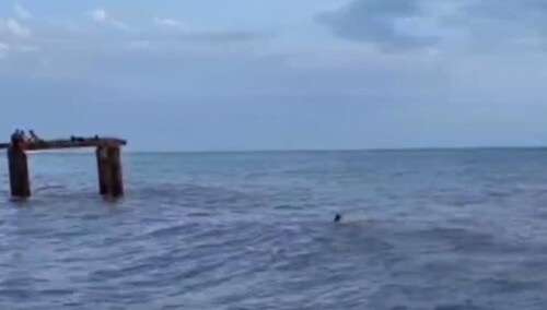    Скрин видео пресс-службы МЧС России