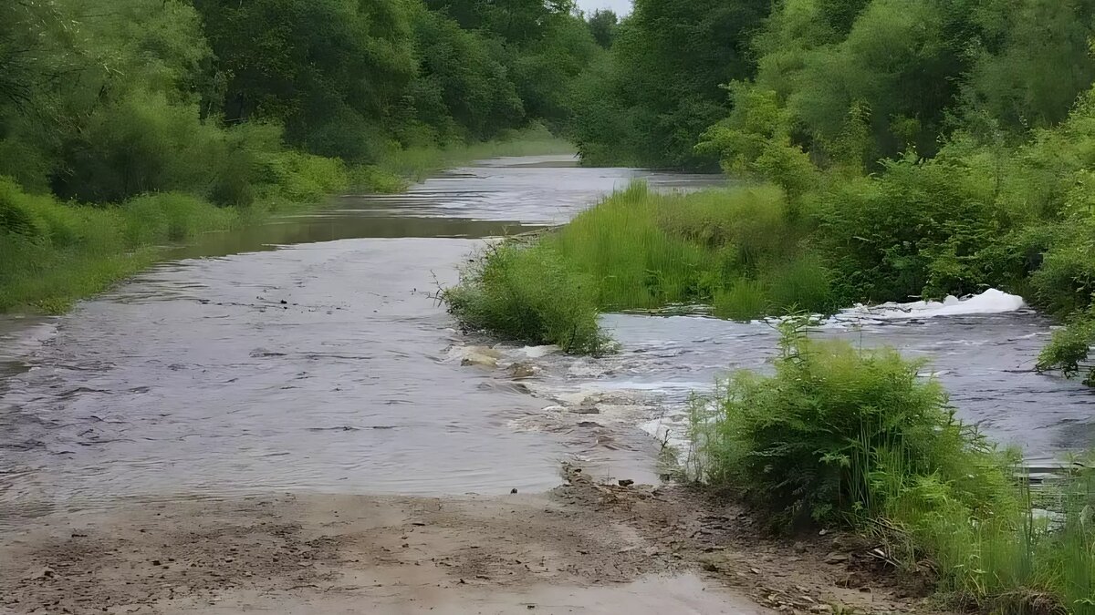     Источник: primgochs