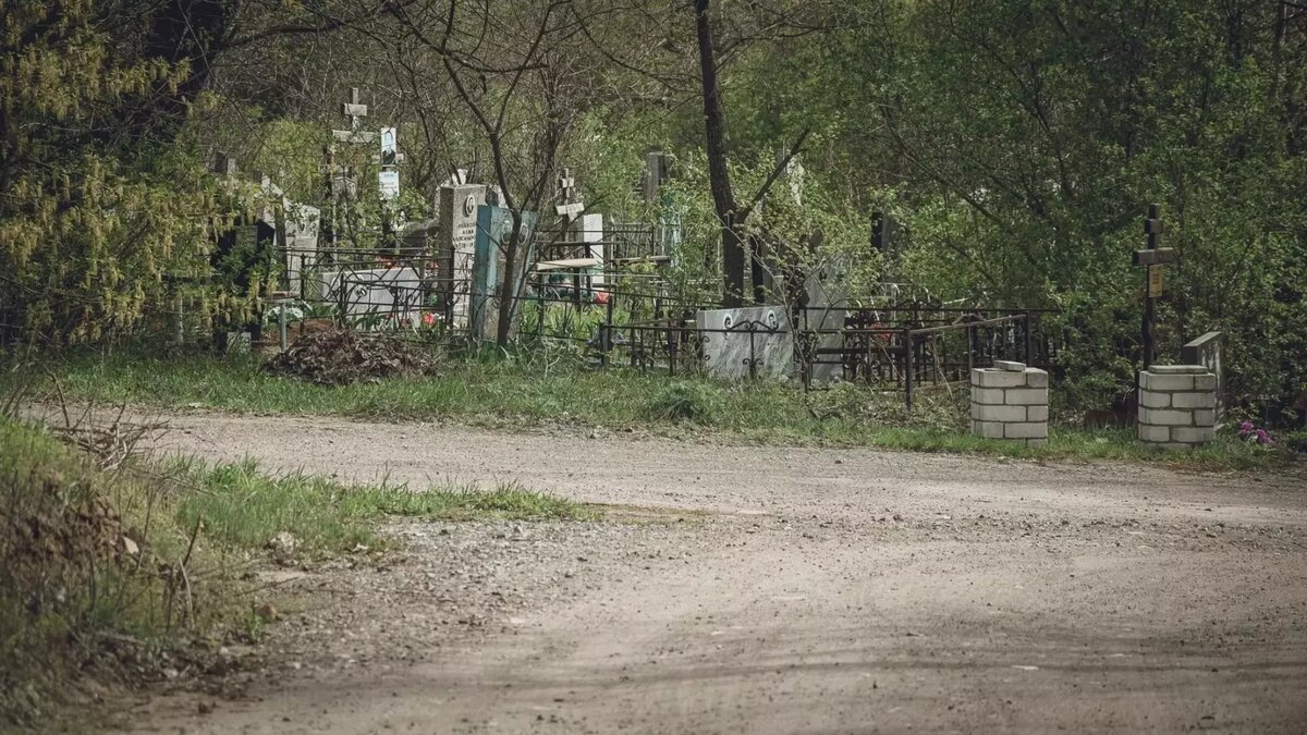     Источник: 1MI