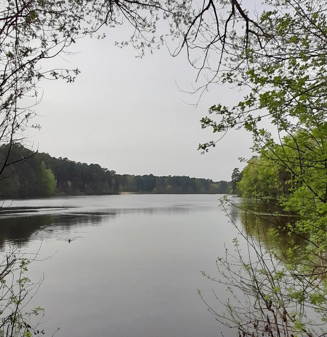 вид на озеро с моста. Фото автора.