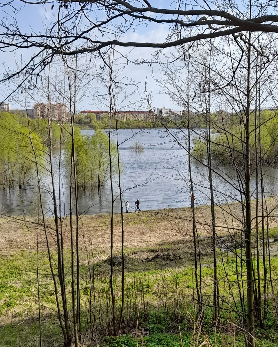 Парк. Одна из его углубленных частей, где уже нет почти ничего, просто дорога по которой гуляешь. Фото автора.