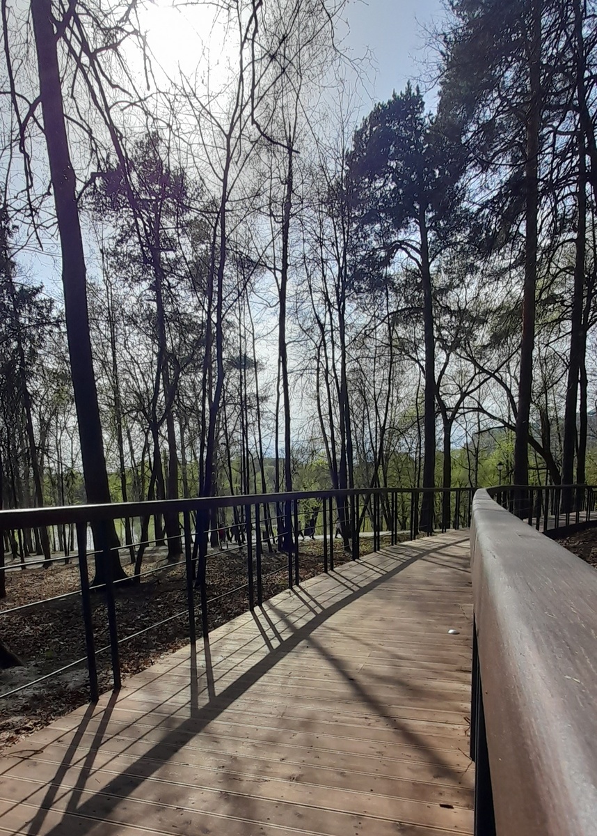 Деревянный променад. Фото автора.