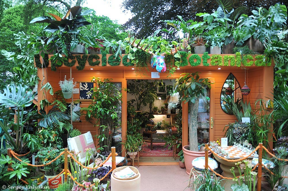 Сад Upcycled Botanical Making Small Spaces Beautiful, 4 фото, листайте