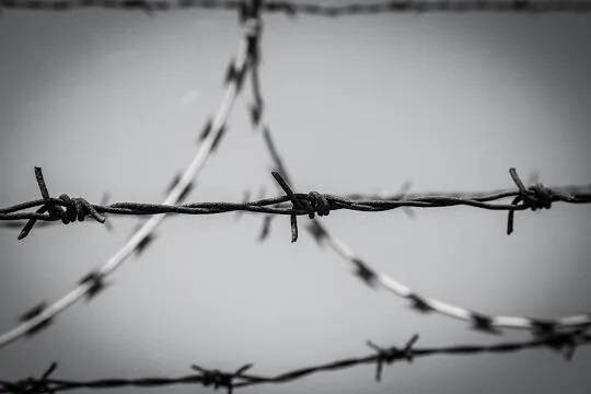    Сотрудники ростовского СИЗО могли приложить руку к передаче заключенным телефонов и ножей