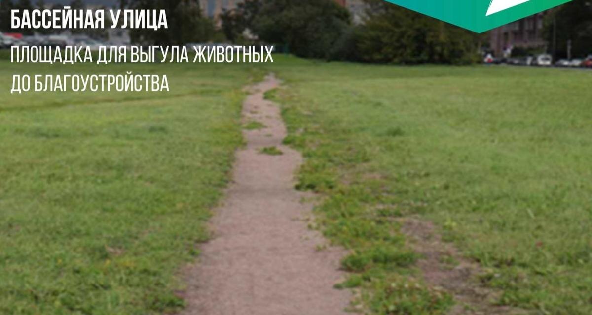 Так территория выглядит сейчас. Фото: ГАТИ