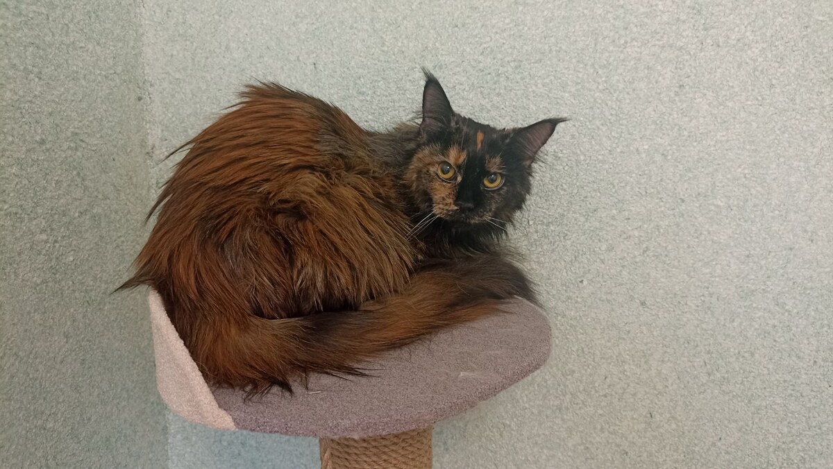 Первый день дома