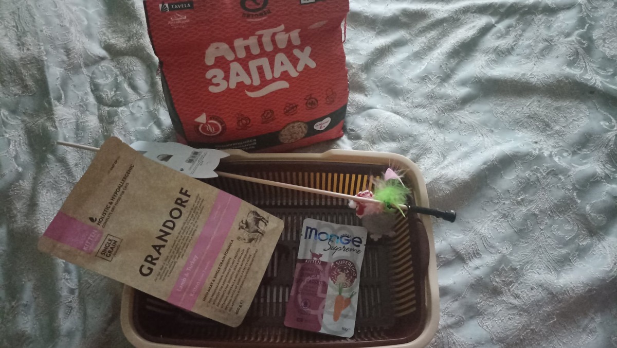 Первые покупки для кошки, за день до её приезда.