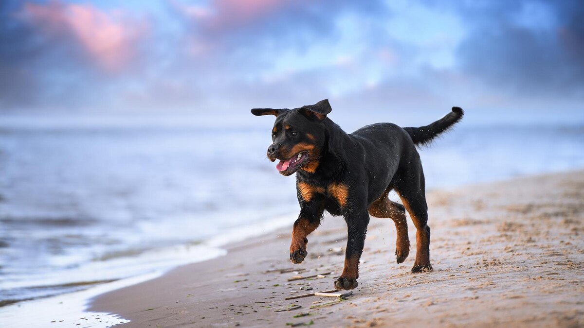    otsphoto / Shutterstock / FOTODOM