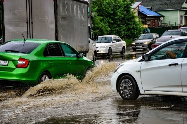   Фото:  АиФ/ Дмитрий Еланаков