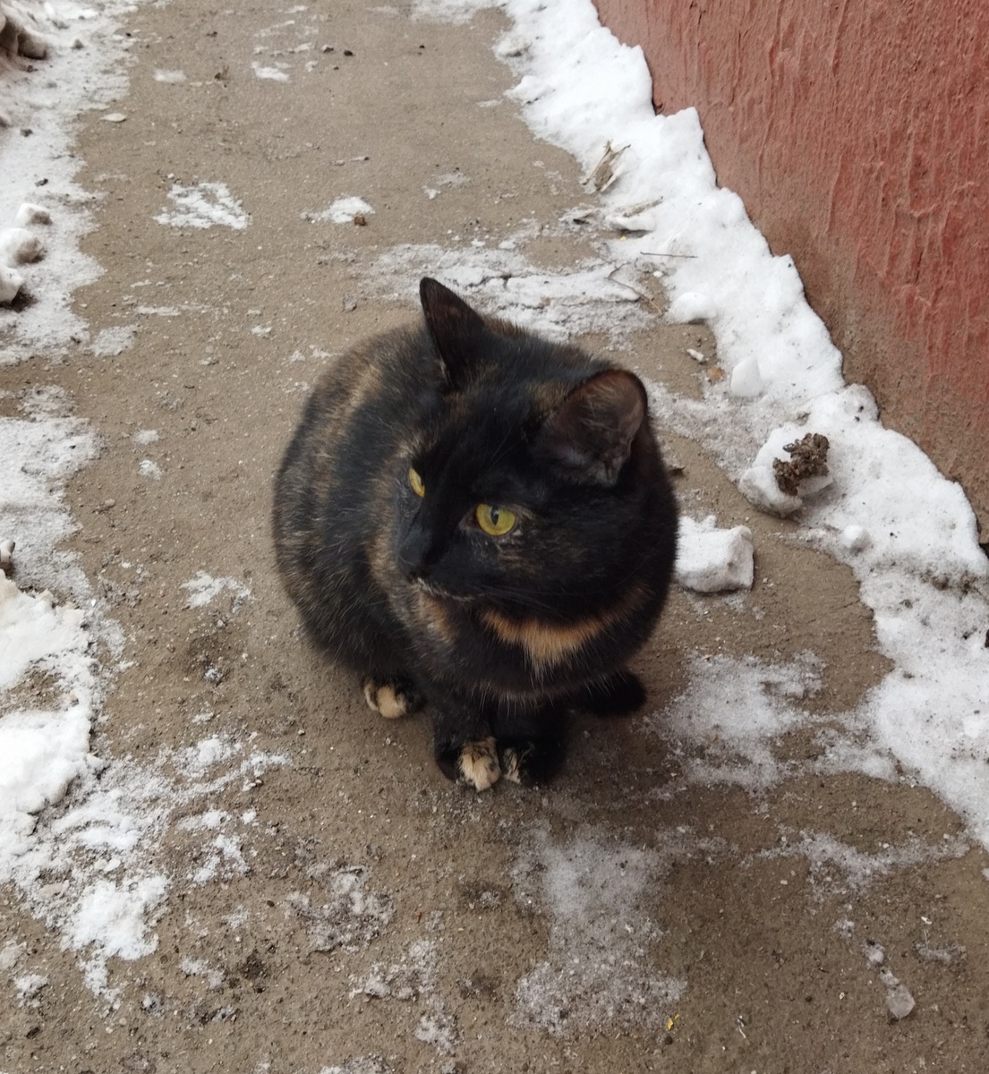 Зая у подъезда