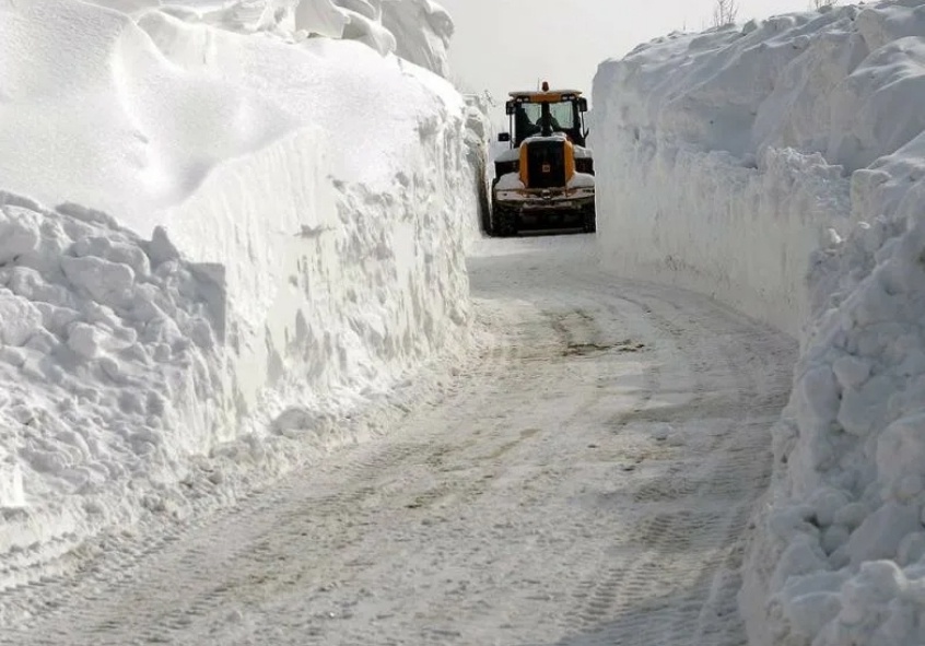 Картинка из интернета 