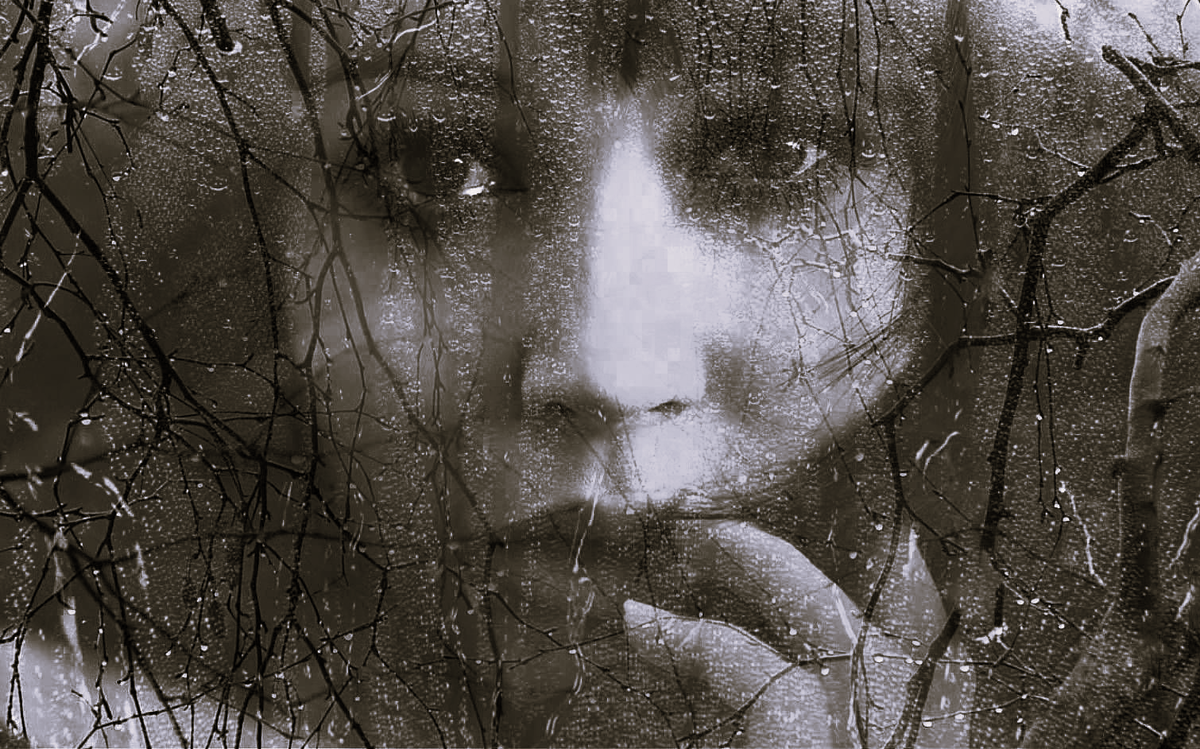 фото из интернета