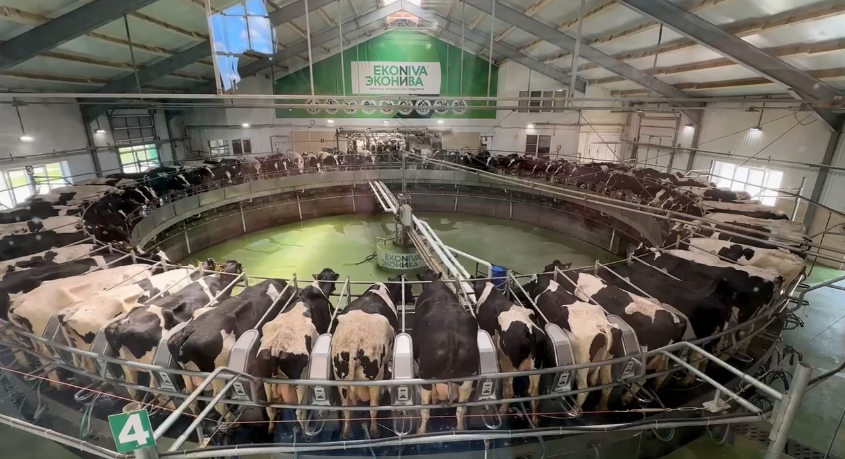 Эконива экскурсия