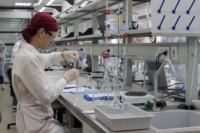    Фото: Правительство Красноярского края