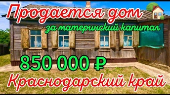 Продаётся дом за материнский капитал 55м2🦯44 сотки🦯газ🦯вода 🦯850 000 ₽🦯хутор Куликовский🦯89245404992