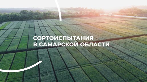 Оцениваем состояние демополей в Самарской области