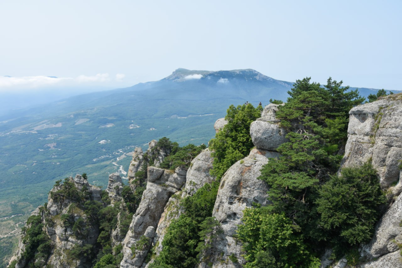 Фото: Гала Амарандо