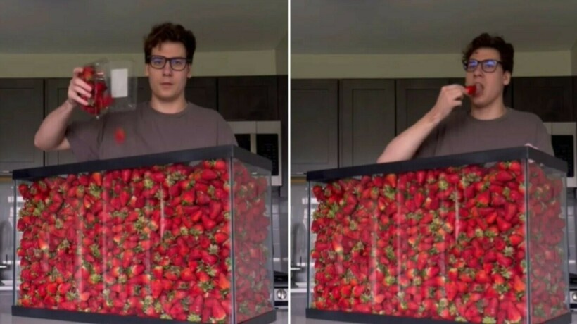    Видео: парень съел полный аквариум клубники прямо перед камерой