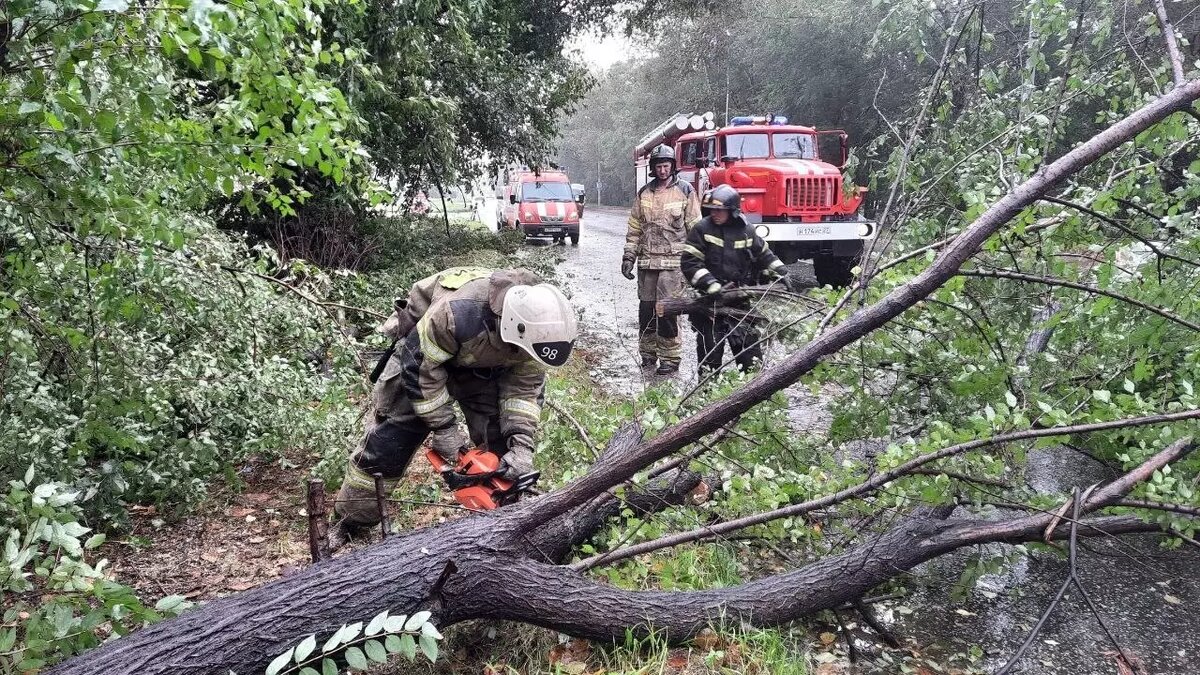     Автор: 27.mchs.gov.ru Источник: для иллюстрации