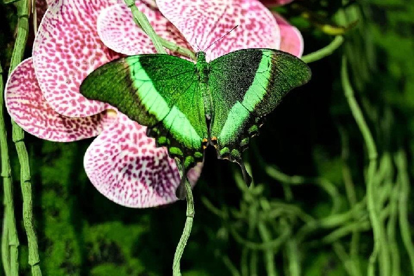    Фото: пресс-служба Минкульттуризма МО