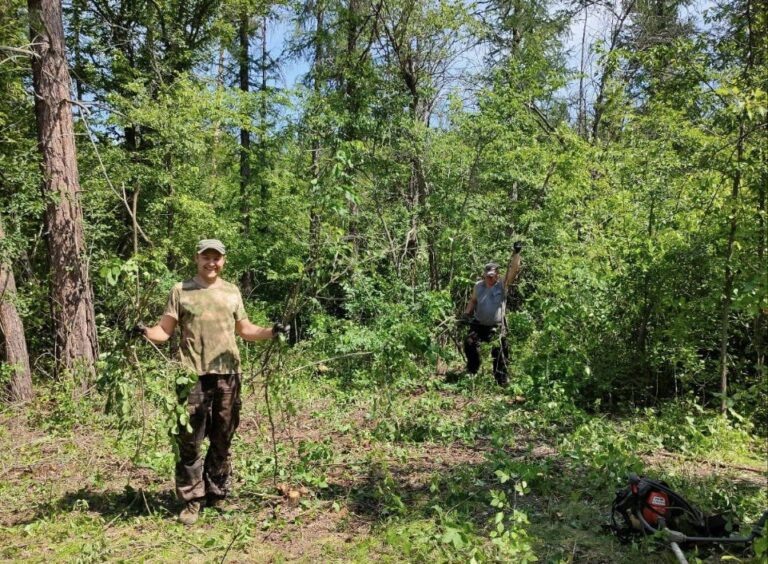    В Бузулукском бору появится новая экотропа Андрей Севостьянов