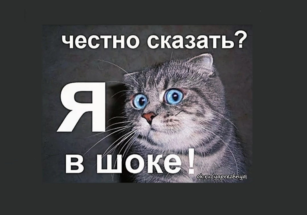Картинка из интернета 