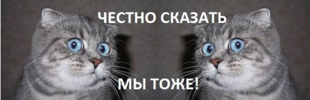Картинка из интернета 