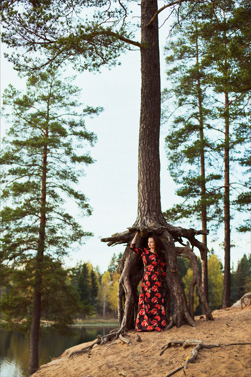 Вырица,  пляж Шудибиль