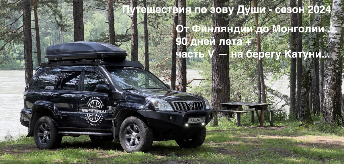 Черныш у берегов Катуни