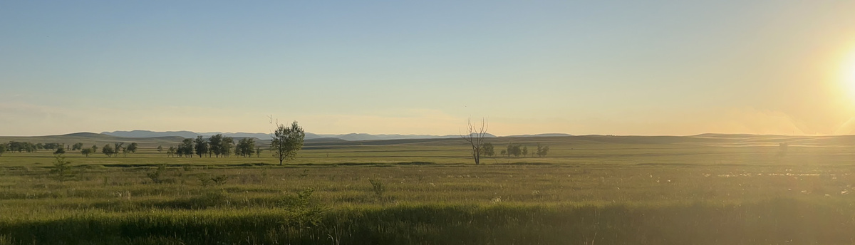 Степь, да степь кругом…