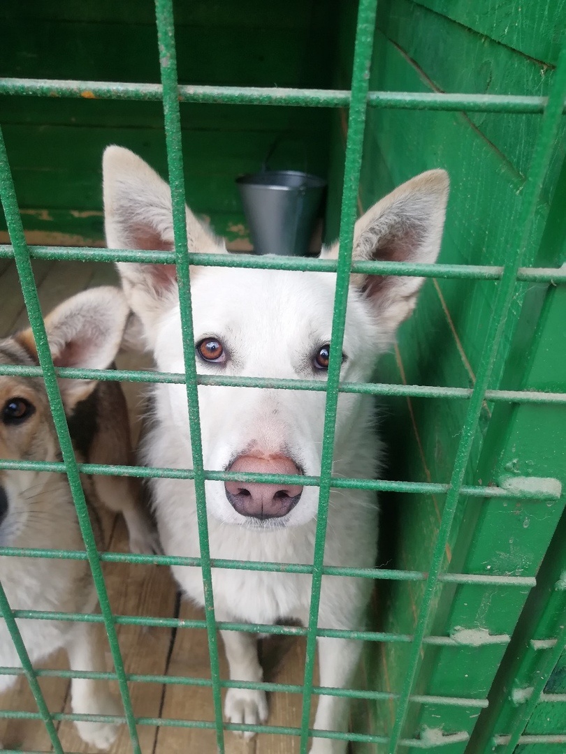 Наконец-то сегодня ип ро меня снова напишут!