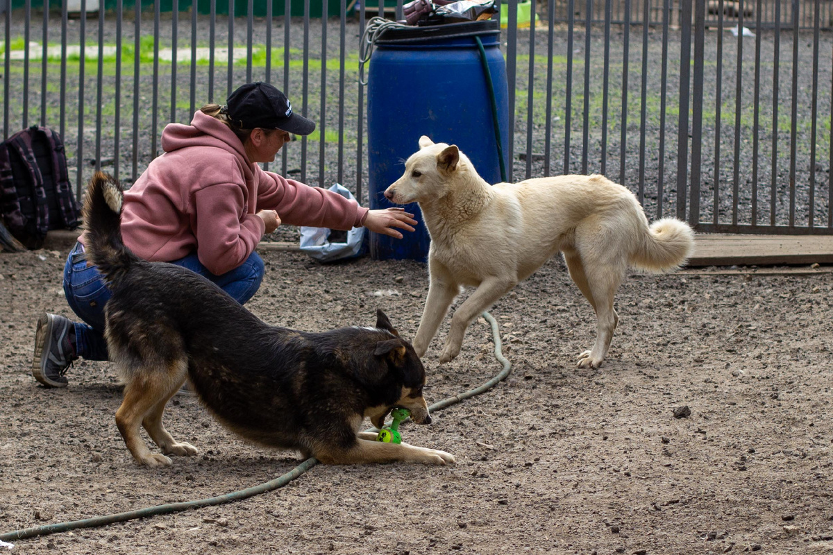 Сперва покажи, что у тебя за пазухой ничего плохого нет!