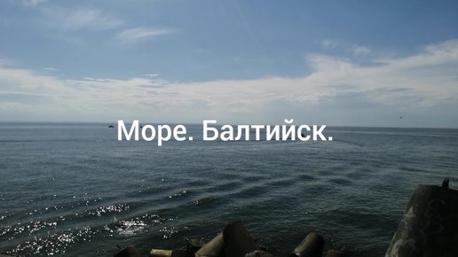 Море. Балтийск. Лето. 2024г.