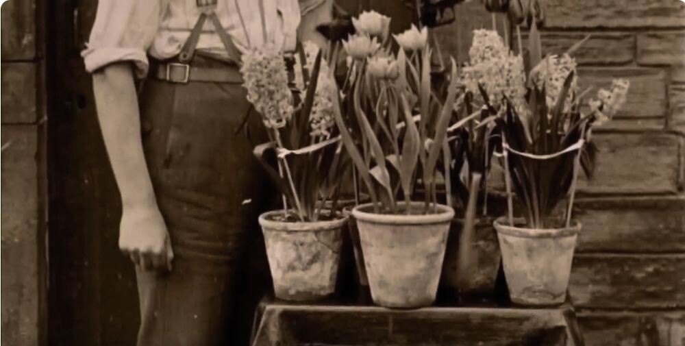 Эмиль работал садовником, вредных привычек у него не было. Репутация как сотрудника была безупречная.