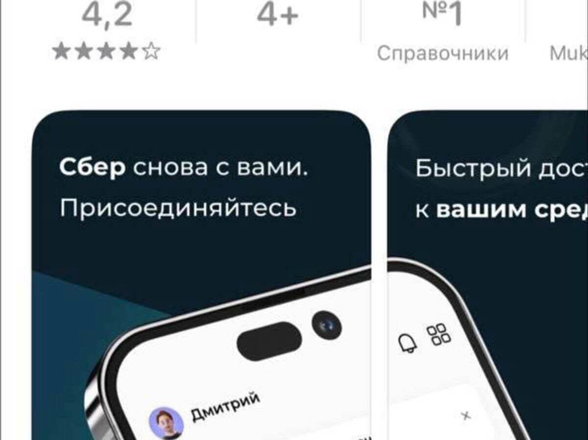    Фейковое приложение банка "Сбер" в App Store© РИА Новости