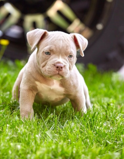 Фото с открытых источников 